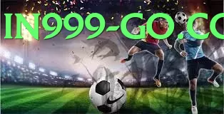 Promotions - seminar at Lahore university