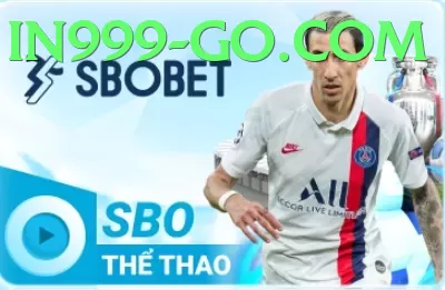 in999 Sports - in999 - official logo and branding