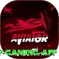 wwbb VIP Gaming App